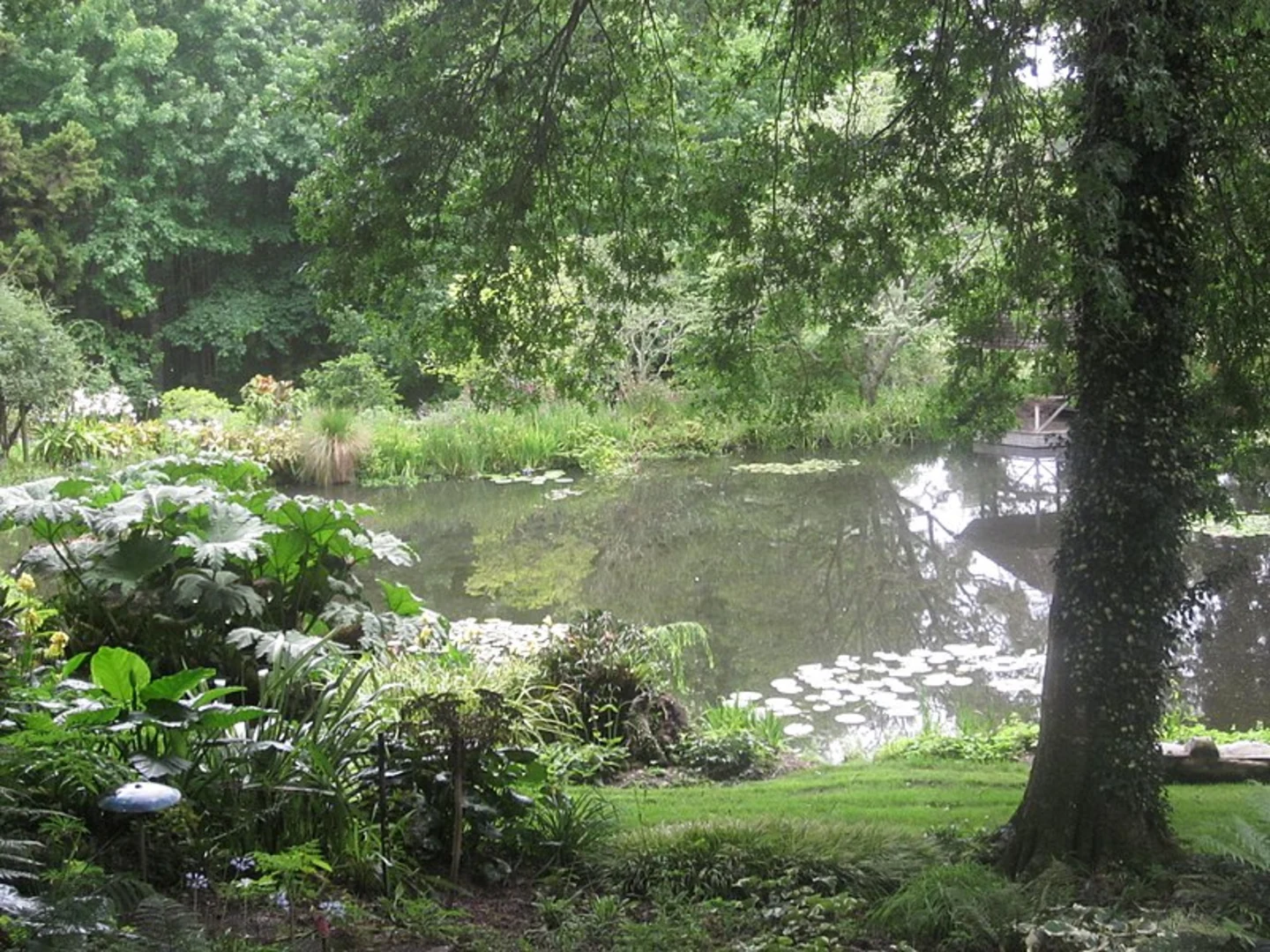 An image depicting the trail Ayrlies Garden and its surrounding area.