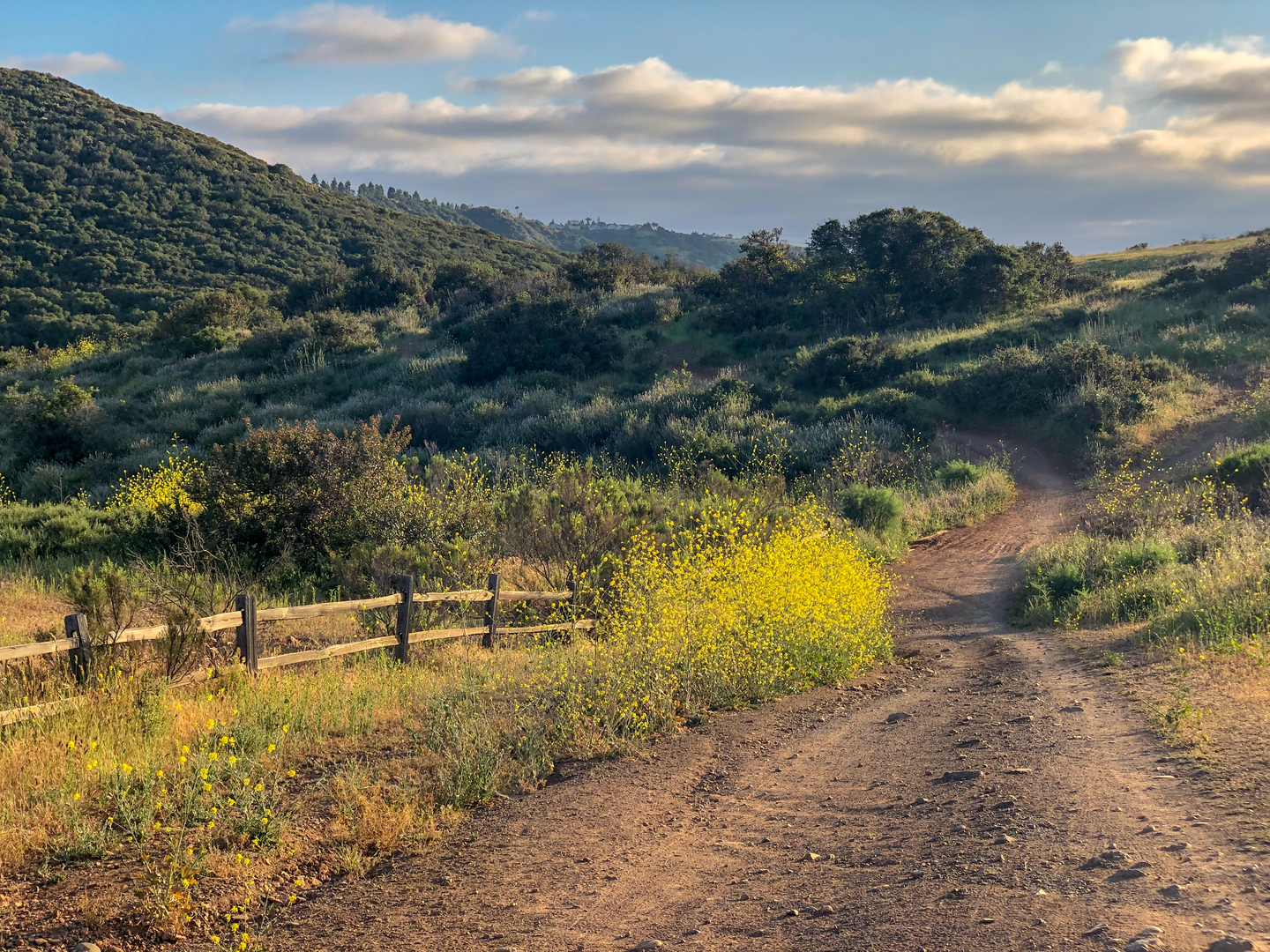 An image depicting the trail Cobbles, Rim and North Main Loop Trail and its surrounding area.