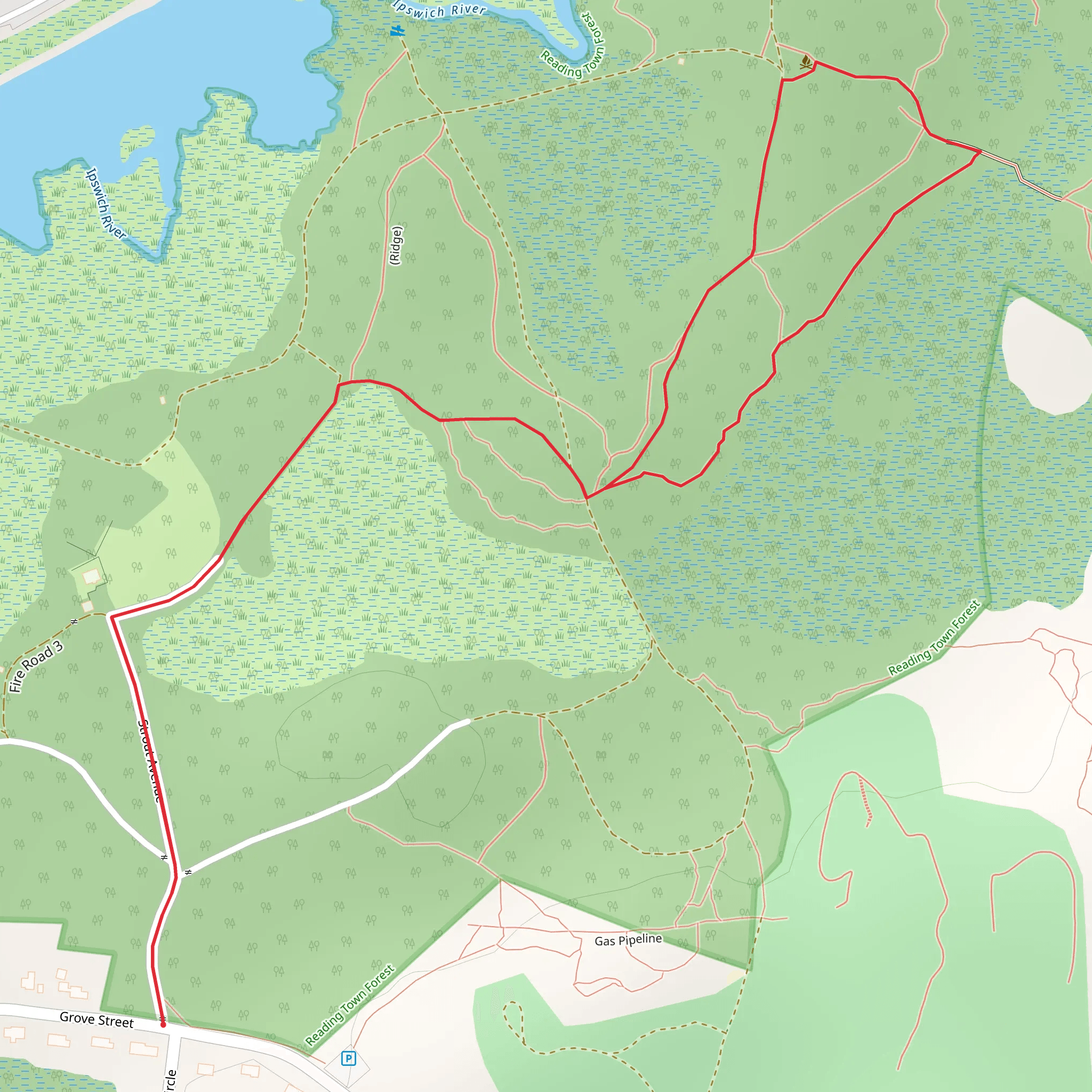 Strout Avenue - Town Forest Loop Trail mobile static map