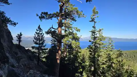 Castle Rock Trail Out and Back