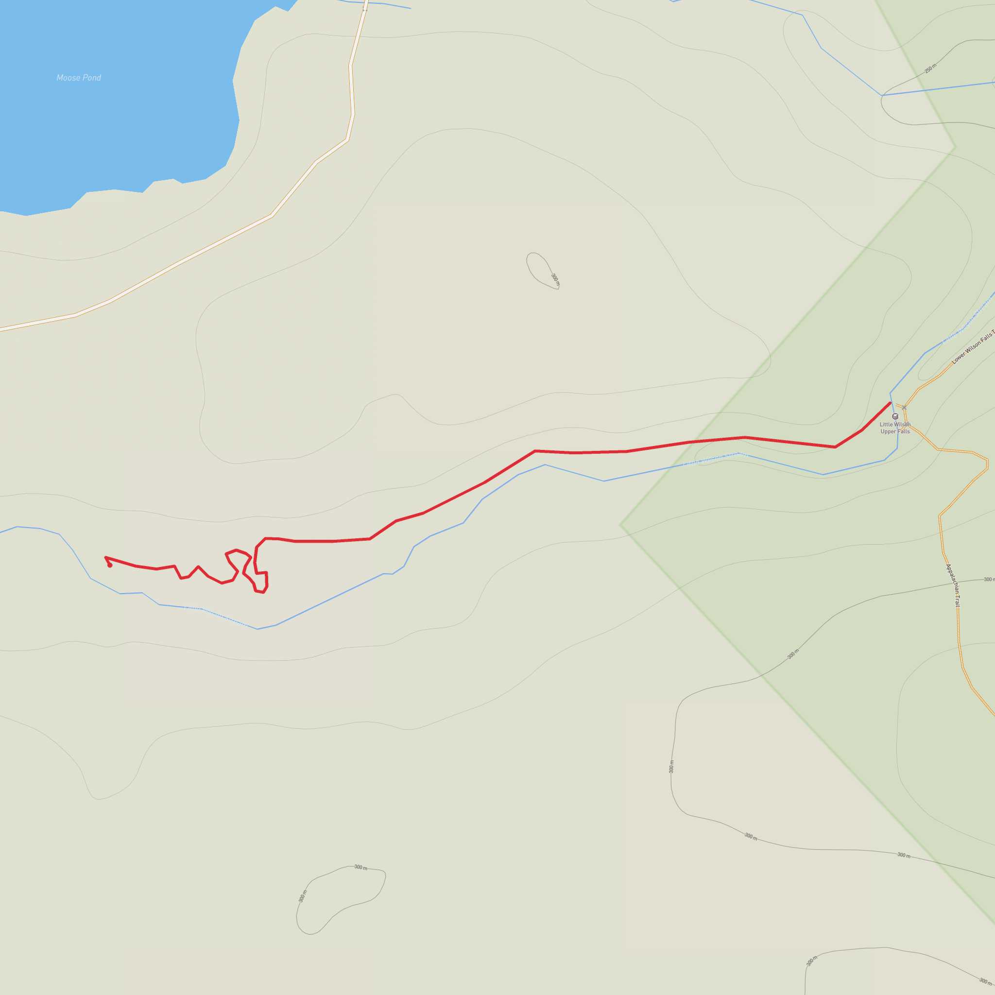 Little Wilson Upper Falls mobile static map