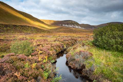 Sandy Loch and Ward Hill Loop