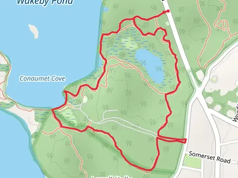 Wakeby Pond East and Lily Pond Loop Trail