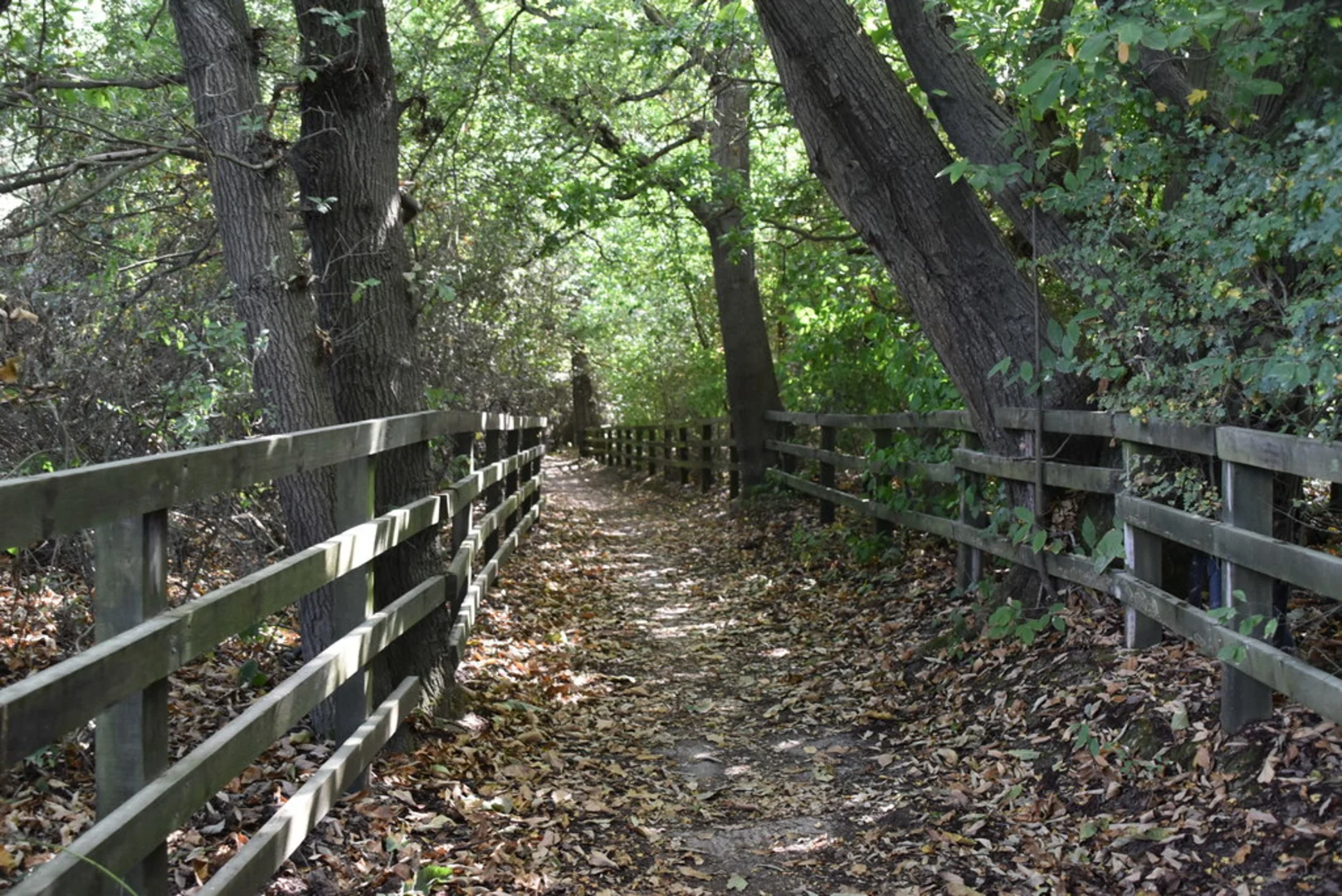 An image depicting the trail East Malling Loop and its surrounding area.