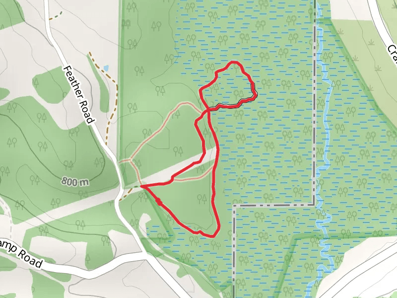 Blue Loop Trail