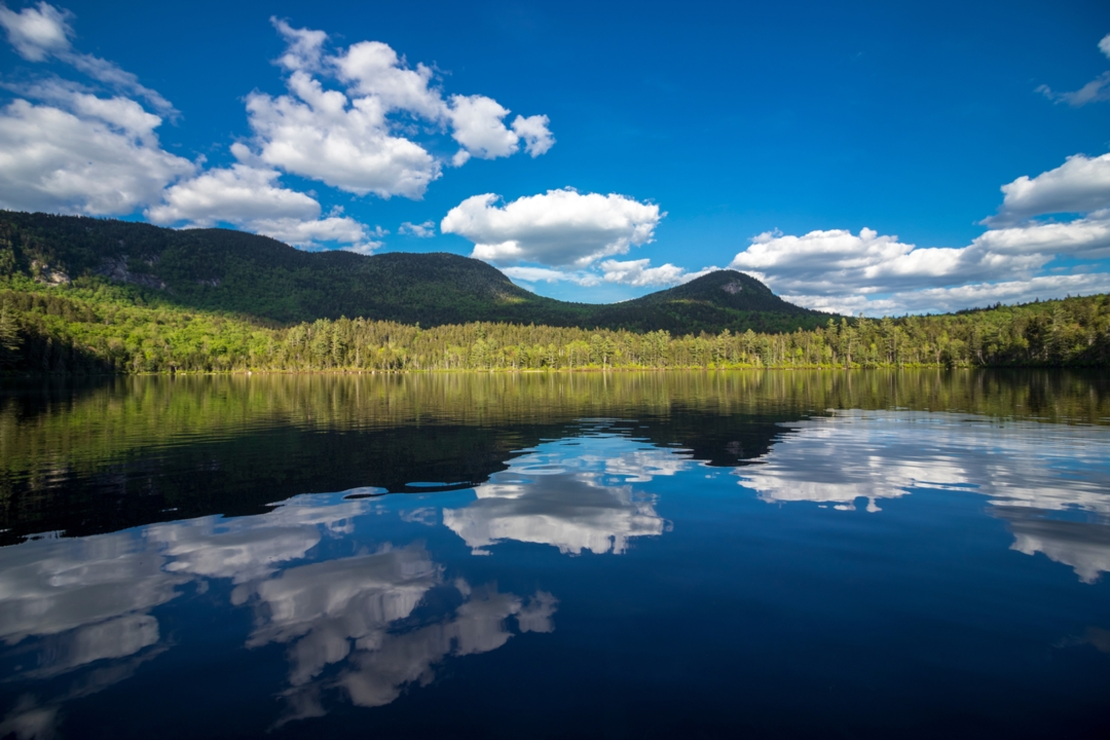 An image depicting the trail Sawyer Pond from Sawyer River Trail and its surrounding area.