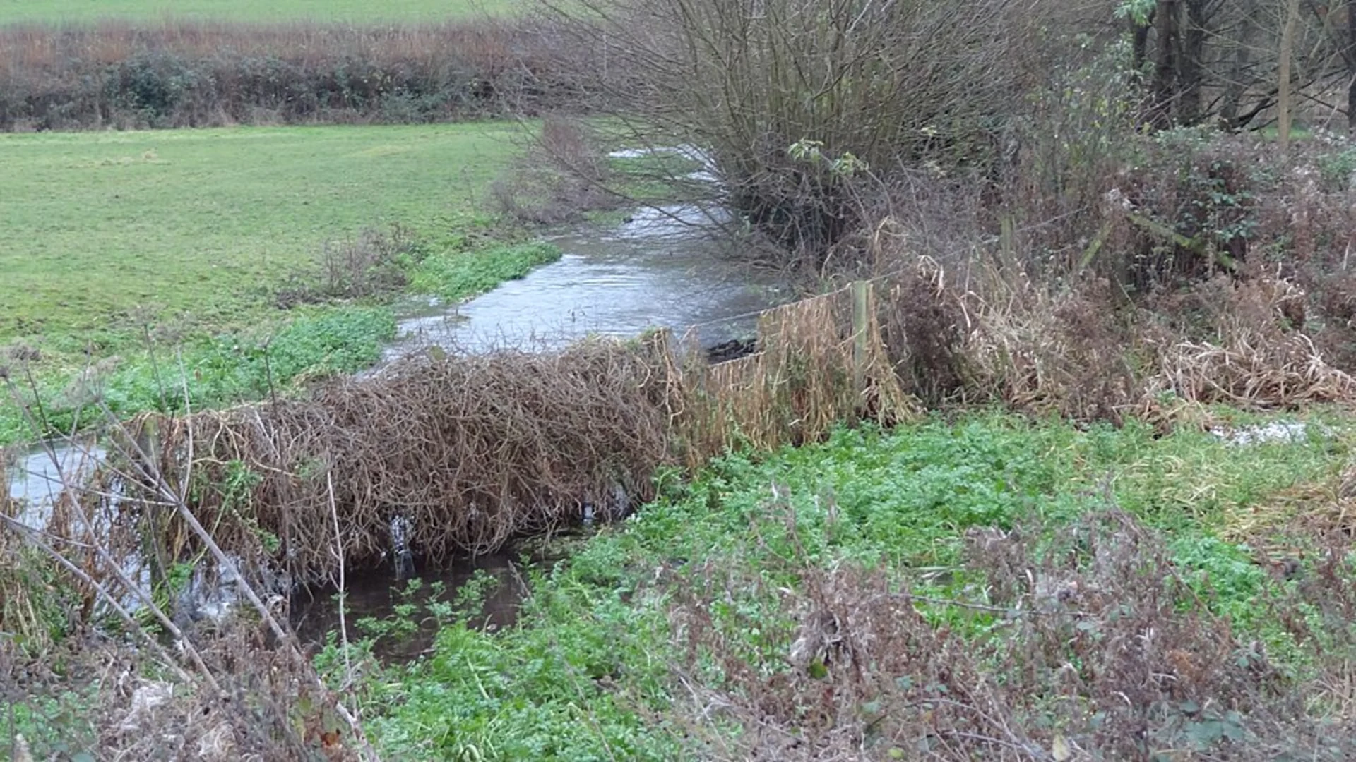 An image depicting the trail Chenies Wood and Walk Wood Loop and its surrounding area.
