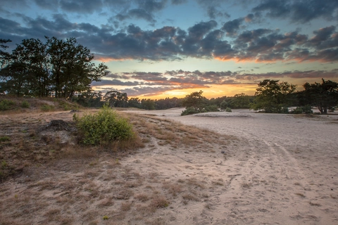 t Zwaantje to Amersfoort Centraal via Lange Duinen and Korte Duinen