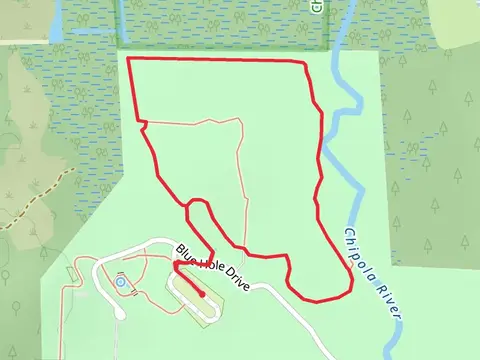 Chipola River Trail - Blue