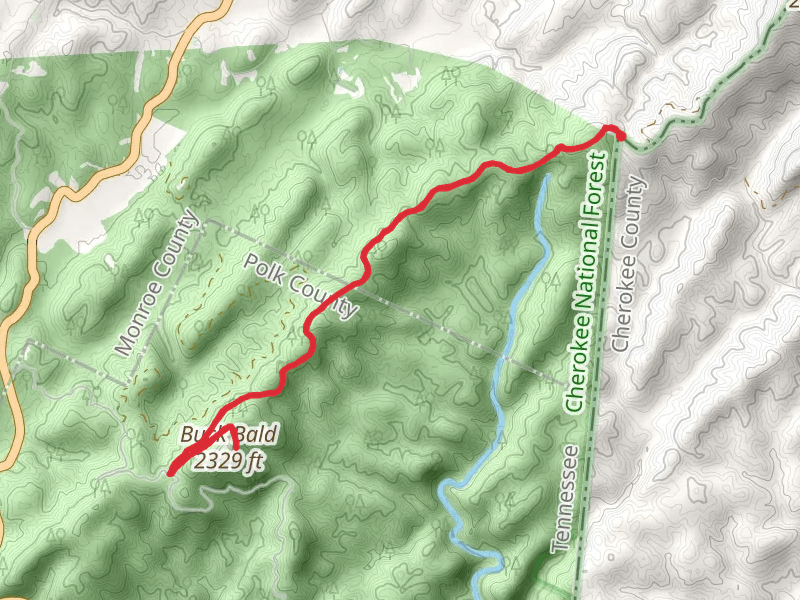 Buck Bald via Unicoi Mountain Trail