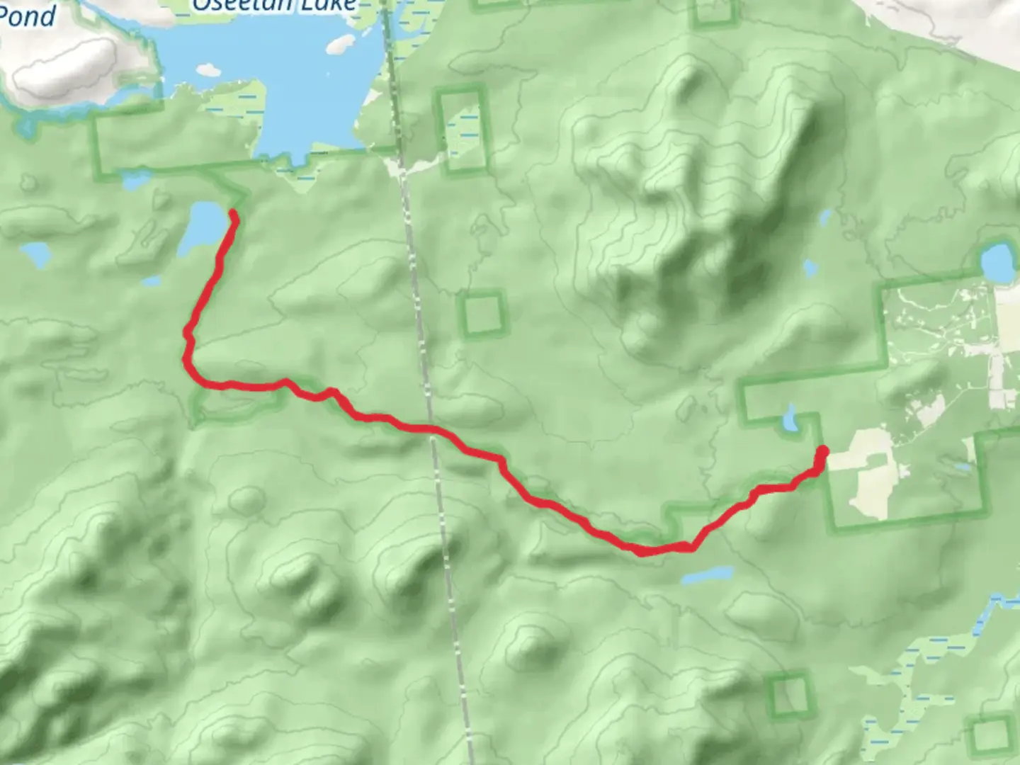 An image depicting the trail Pine Pond Trail - Averyville and its surrounding area.