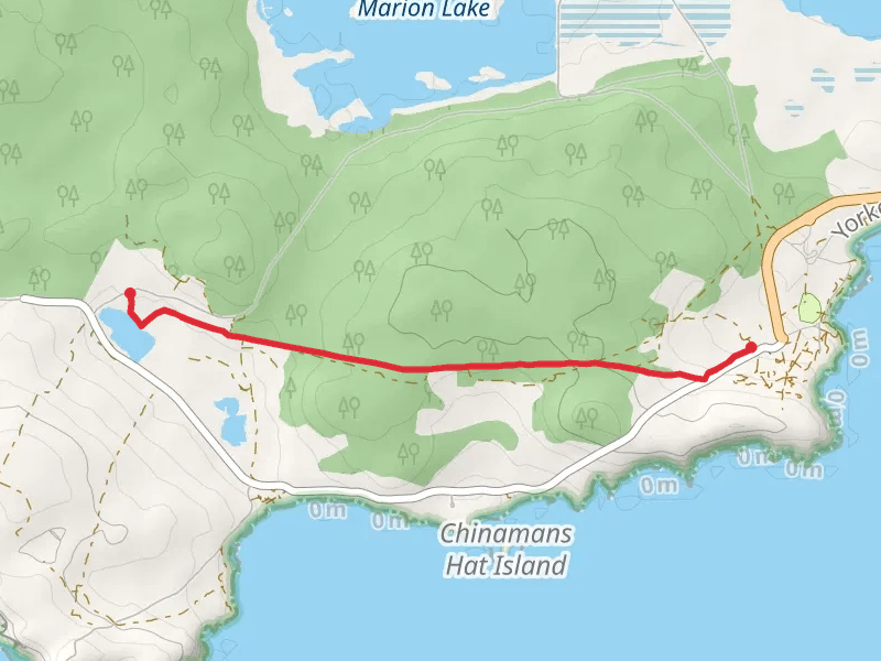 Thomson - Pfitzner Plaster Trail