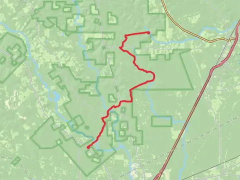 Lone Star Hiking Trail - Big Creek