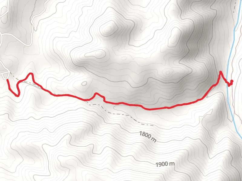 Willard Creek Trail