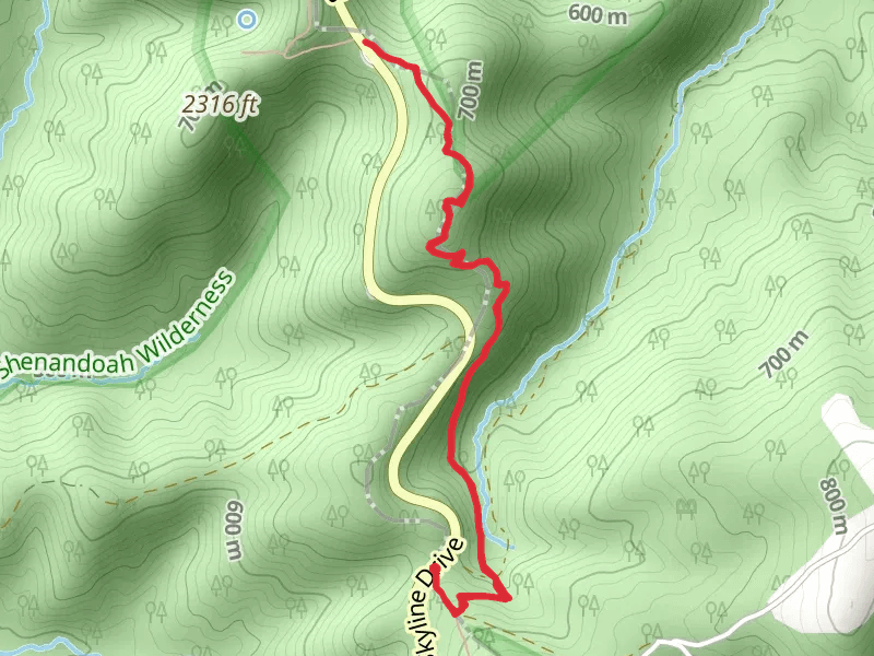 Appalachian Trail via Jarman Gap