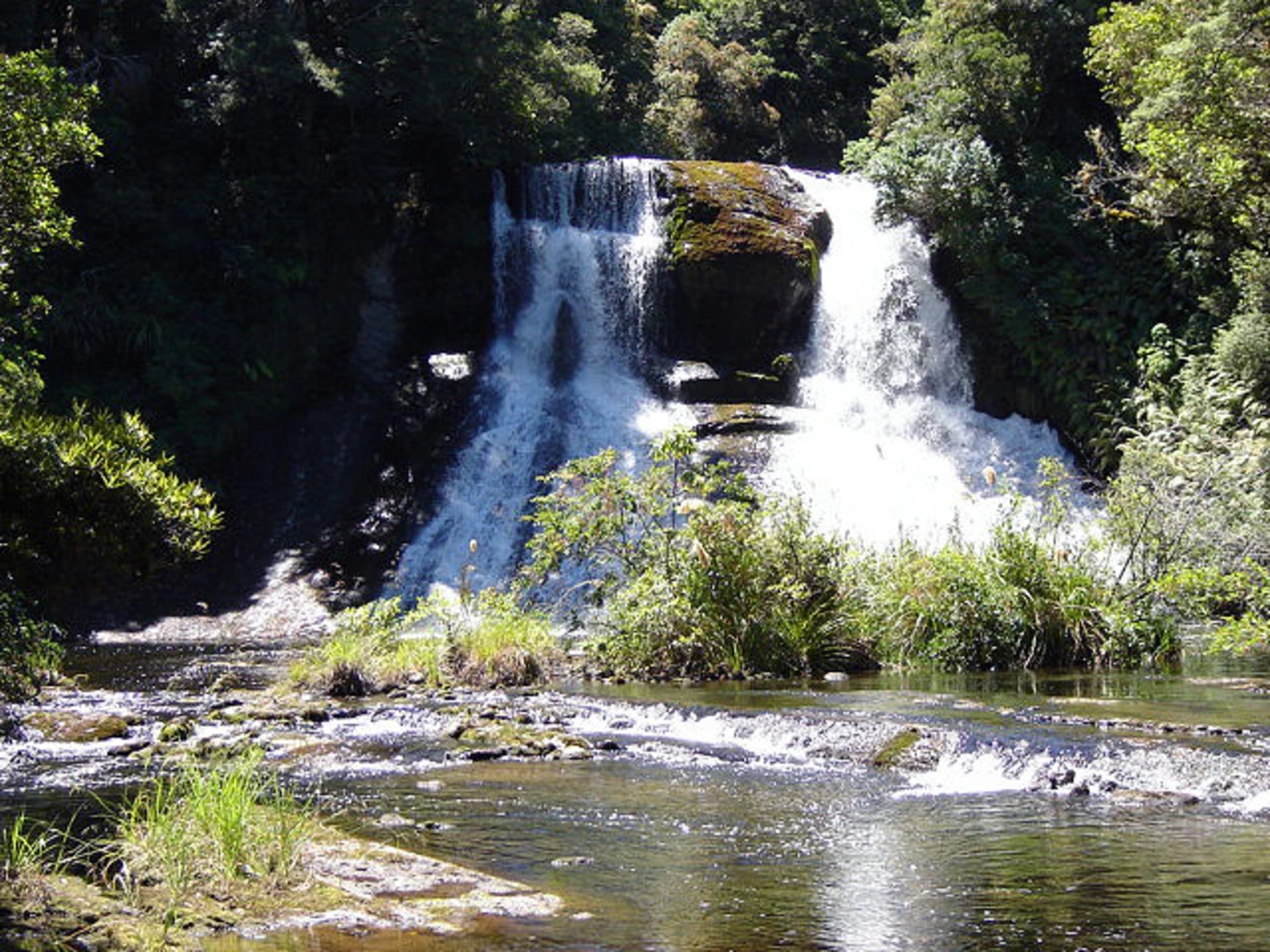 An image depicting the trail Lake Waikareiti Walk and its surrounding area.