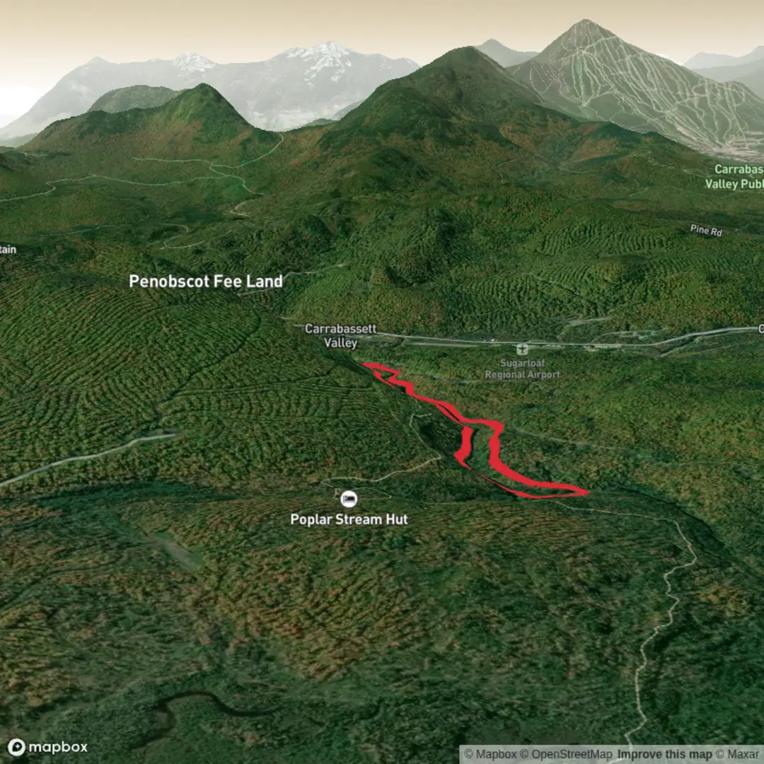 An image depicting the trail Poplar Stream Falls via Larry's Trail and Warren's Trail and its surrounding area.