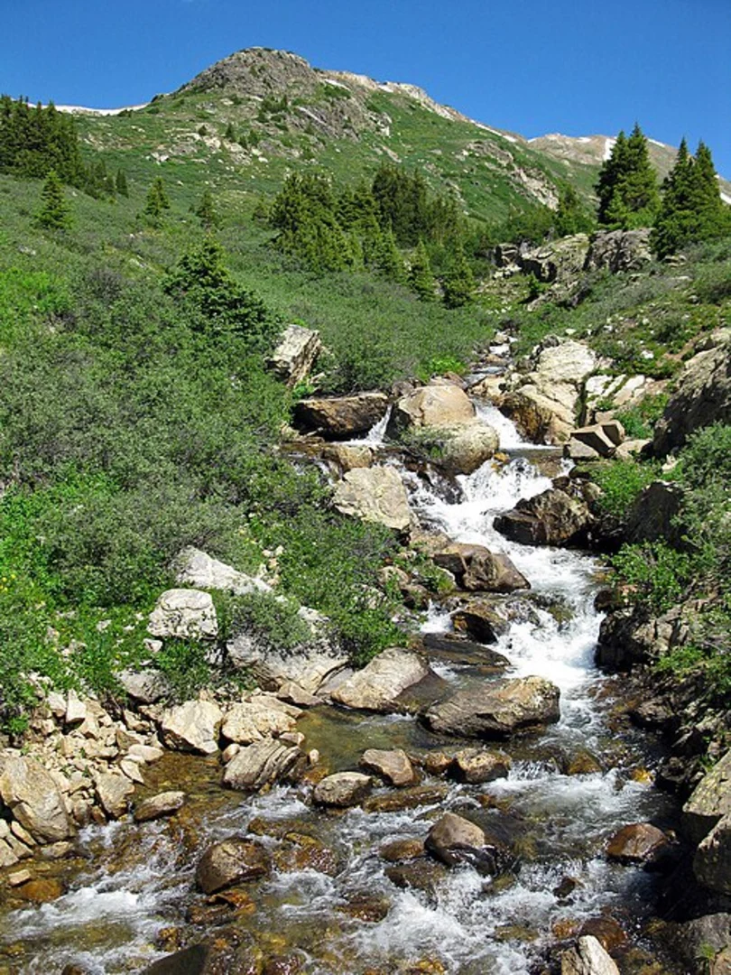 An image depicting the trail Red Mountain - Jeanne Golay Trail and its surrounding area.