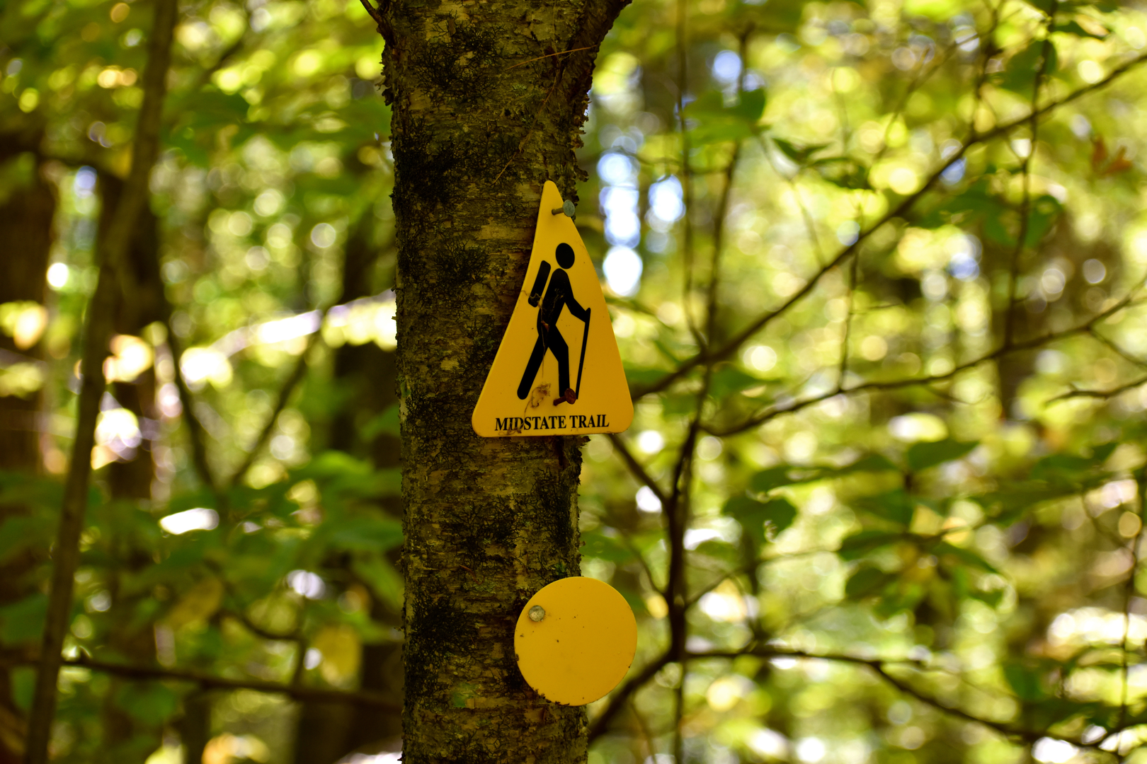 An image depicting the trail Mid State Trail and its surrounding area.