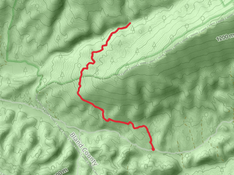 Roaring Fork Trail