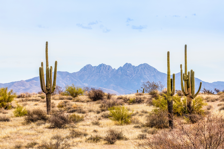 Highwater Trail via Verde River Trail