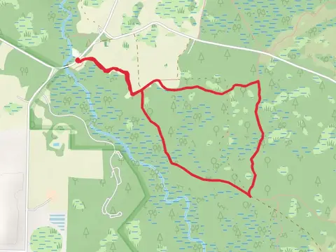White Blazed Trail Loop