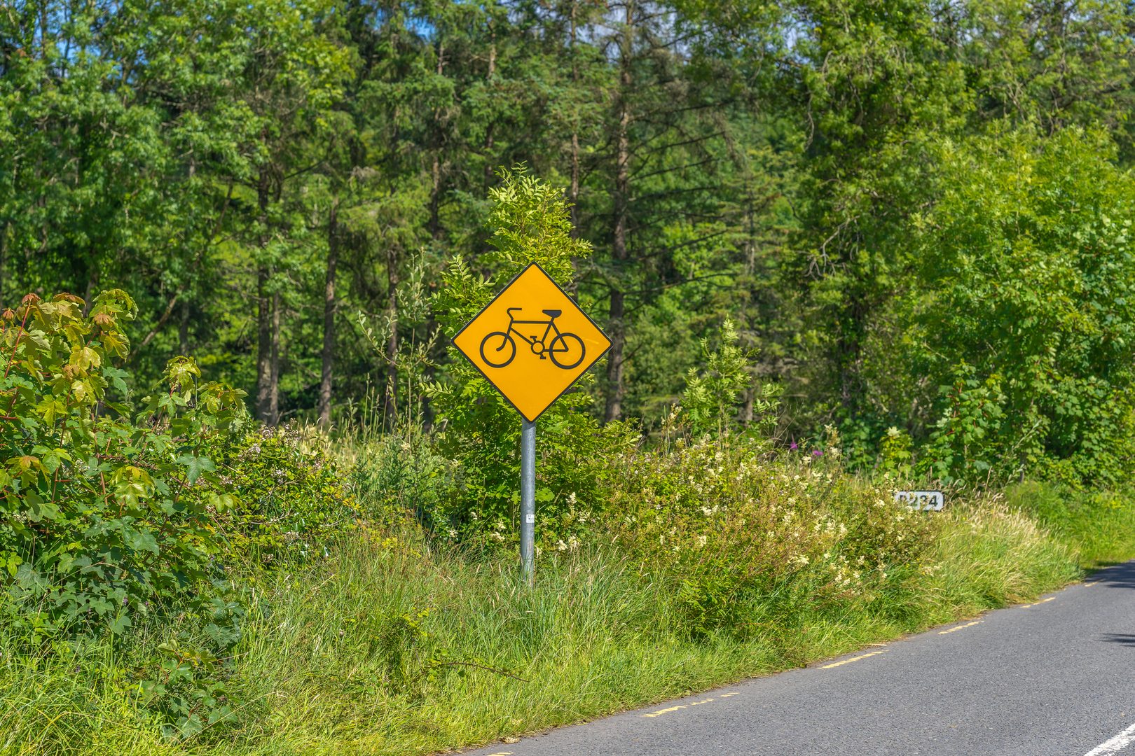 An image depicting the trail Ballyduff Lock to Aghoo Bridge Walking Trail and its surrounding area.