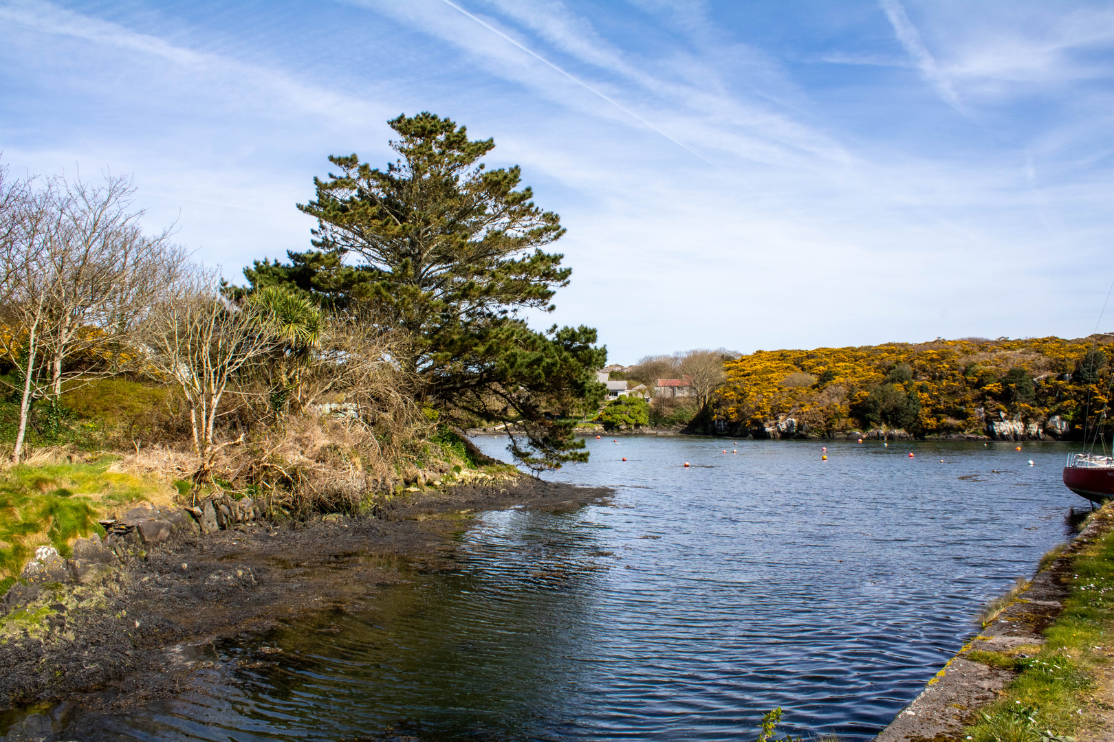 An image depicting the trail Fastnet Trails - Goleen Harbour Long Loop and its surrounding area.