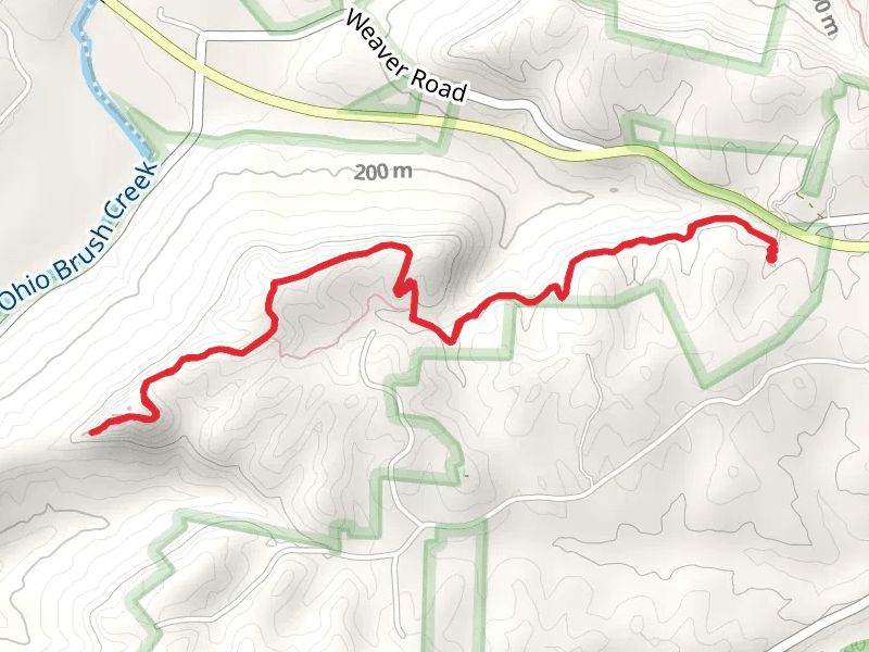 Buzzardroost Trail