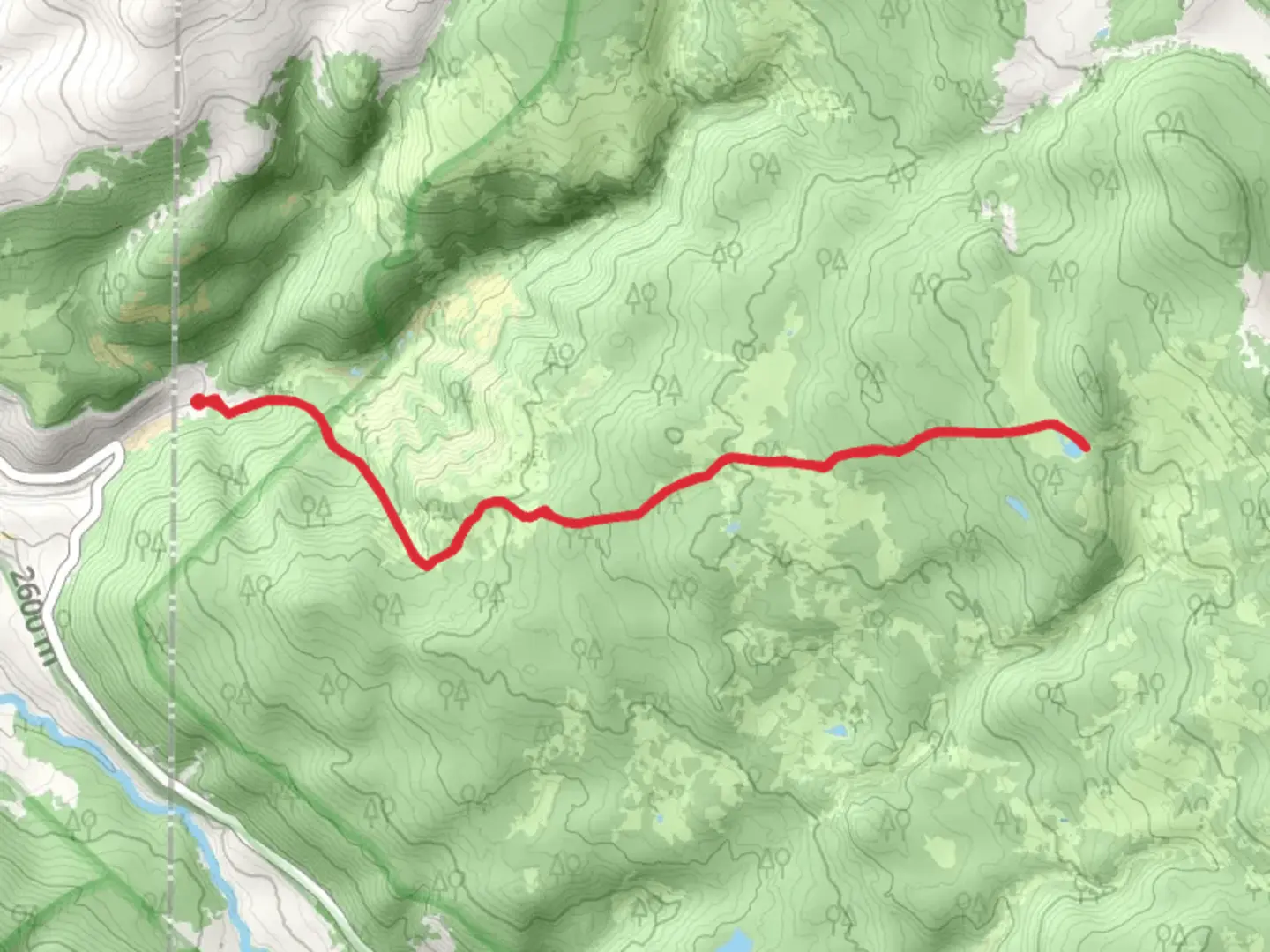 An image depicting the trail Picket Pin Lily Pond Trail - Short and its surrounding area.