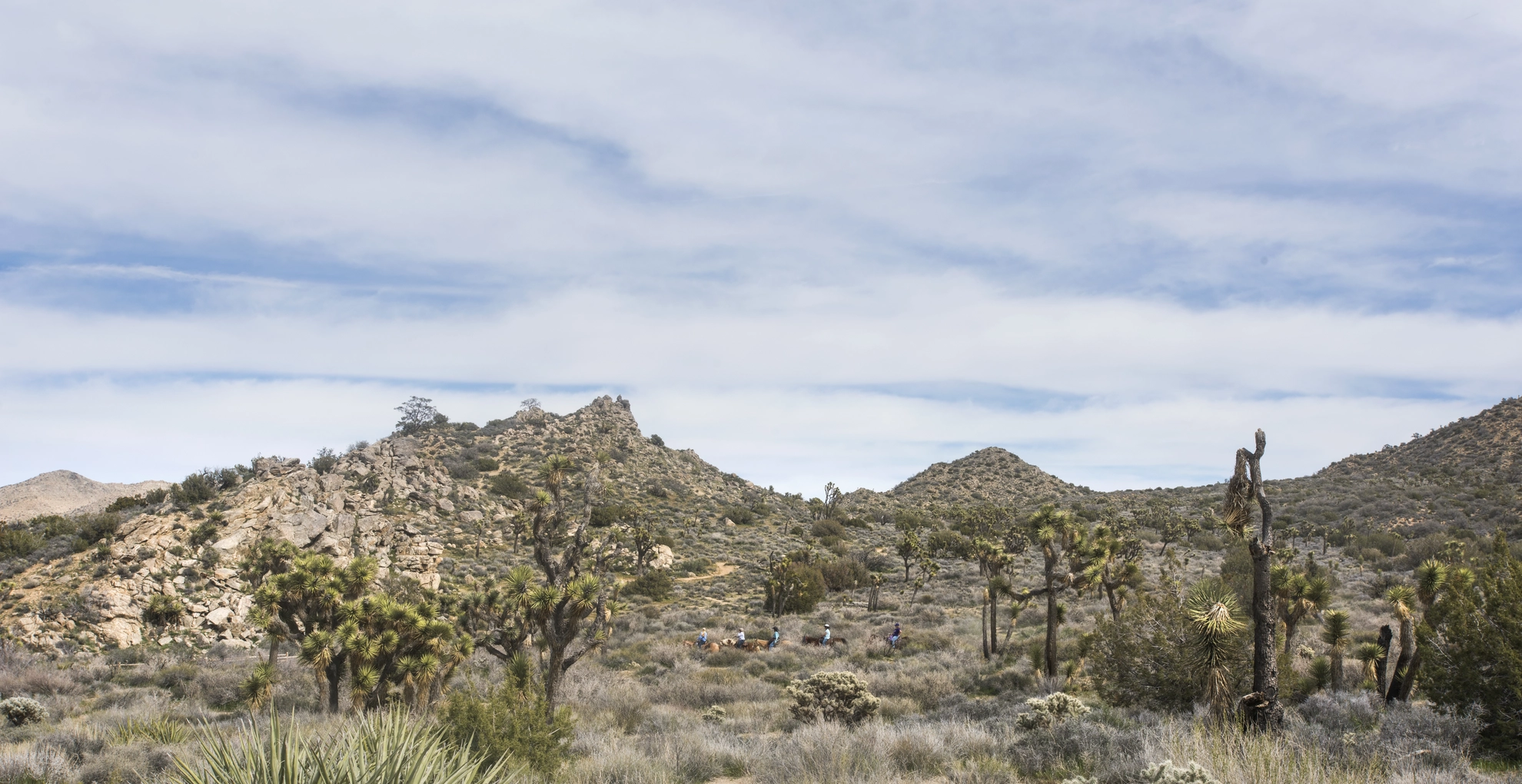 An image depicting the trail California Riding and Hiking and Stubbe Springs Loop Trail and its surrounding area.