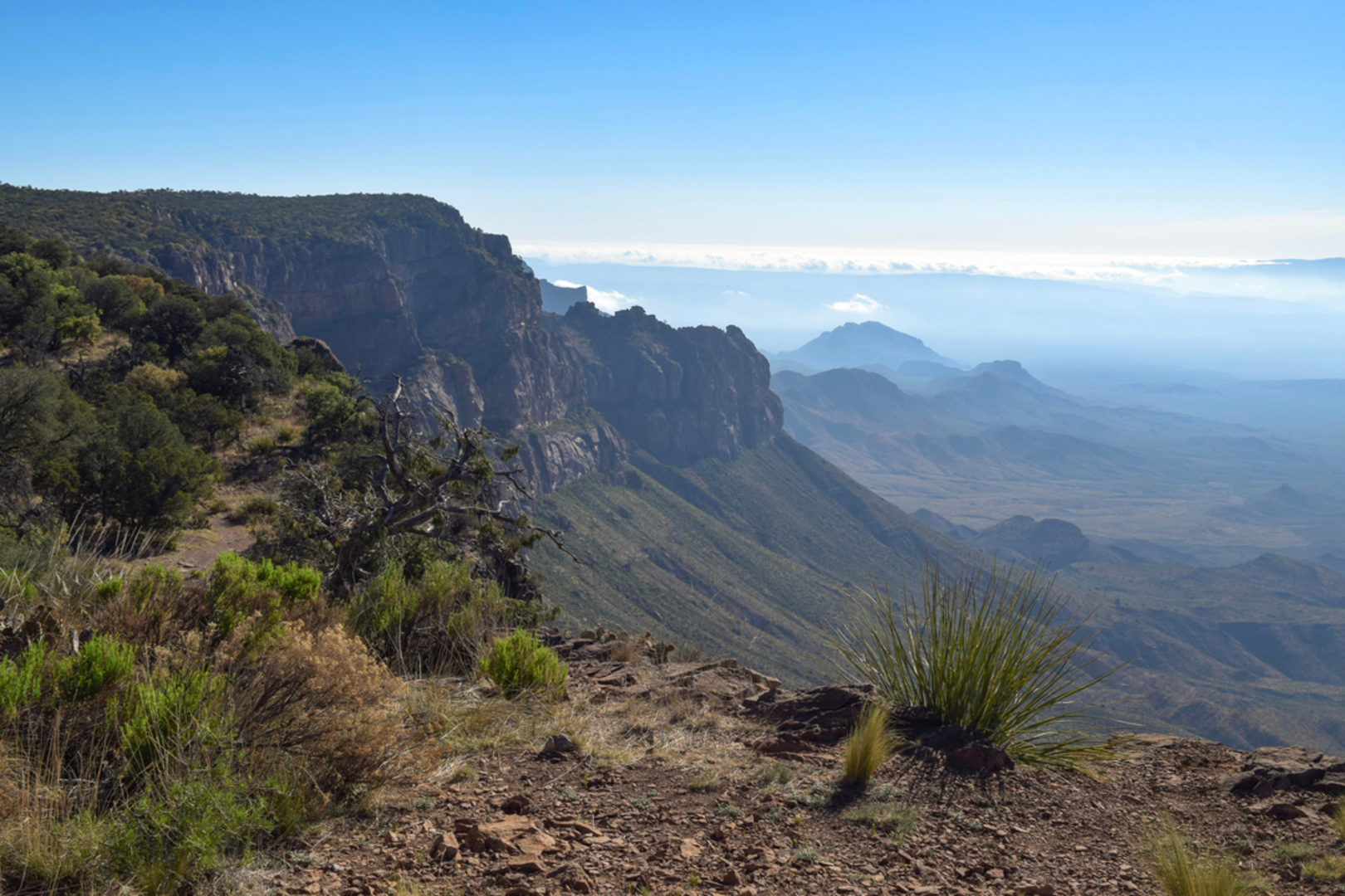 An image depicting the trail South Rim via Laguna Meadows Trail and its surrounding area.