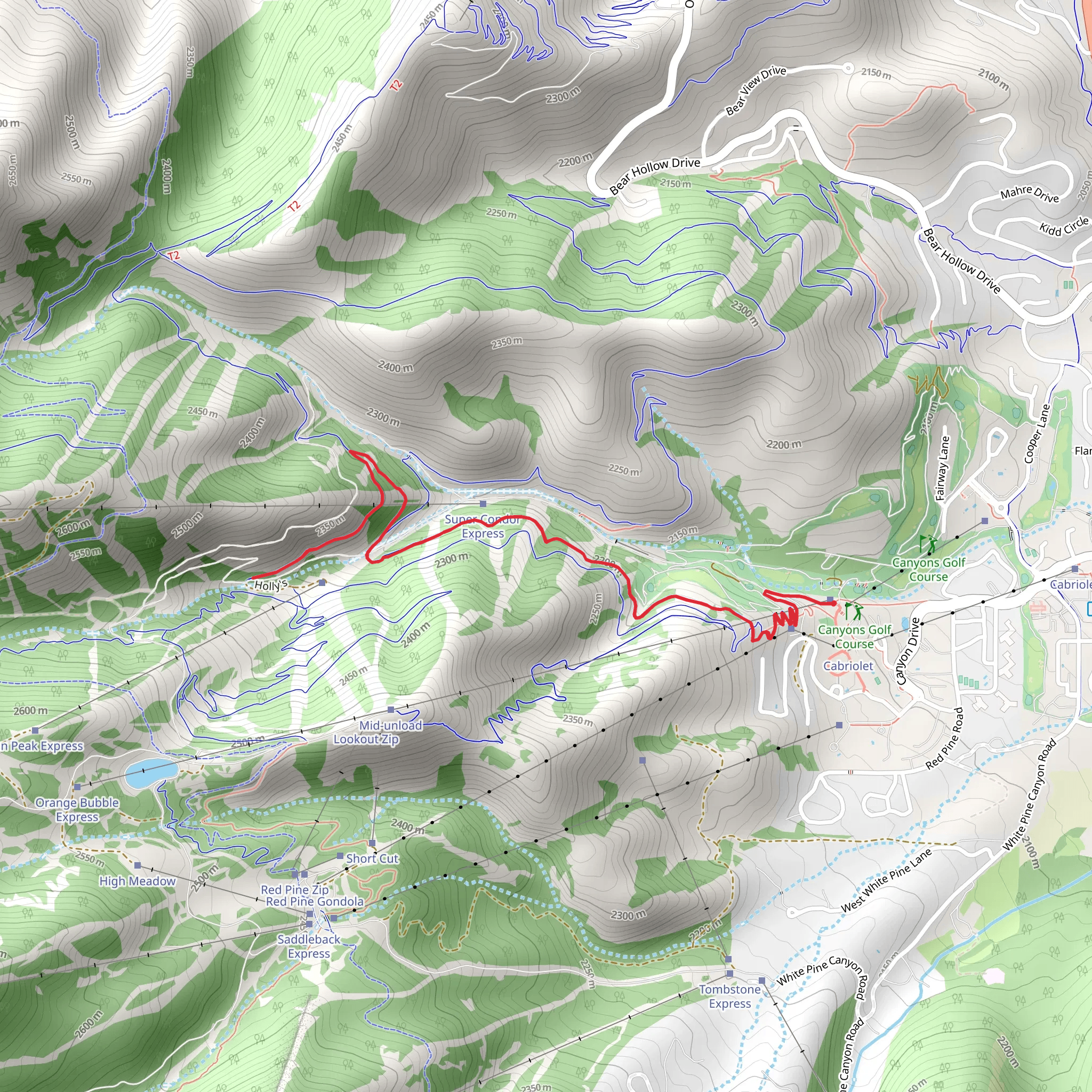 Holly's Walk mobile static map