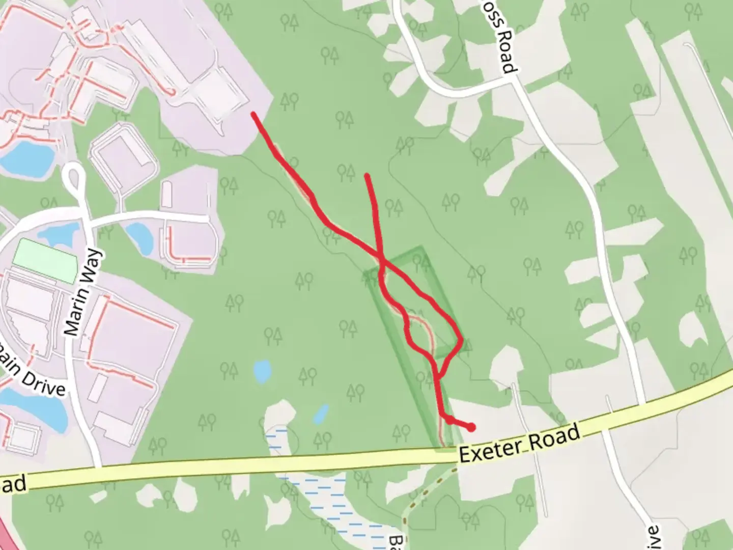An image depicting the trail Pine Hill Loop from Exeter Road and its surrounding area.