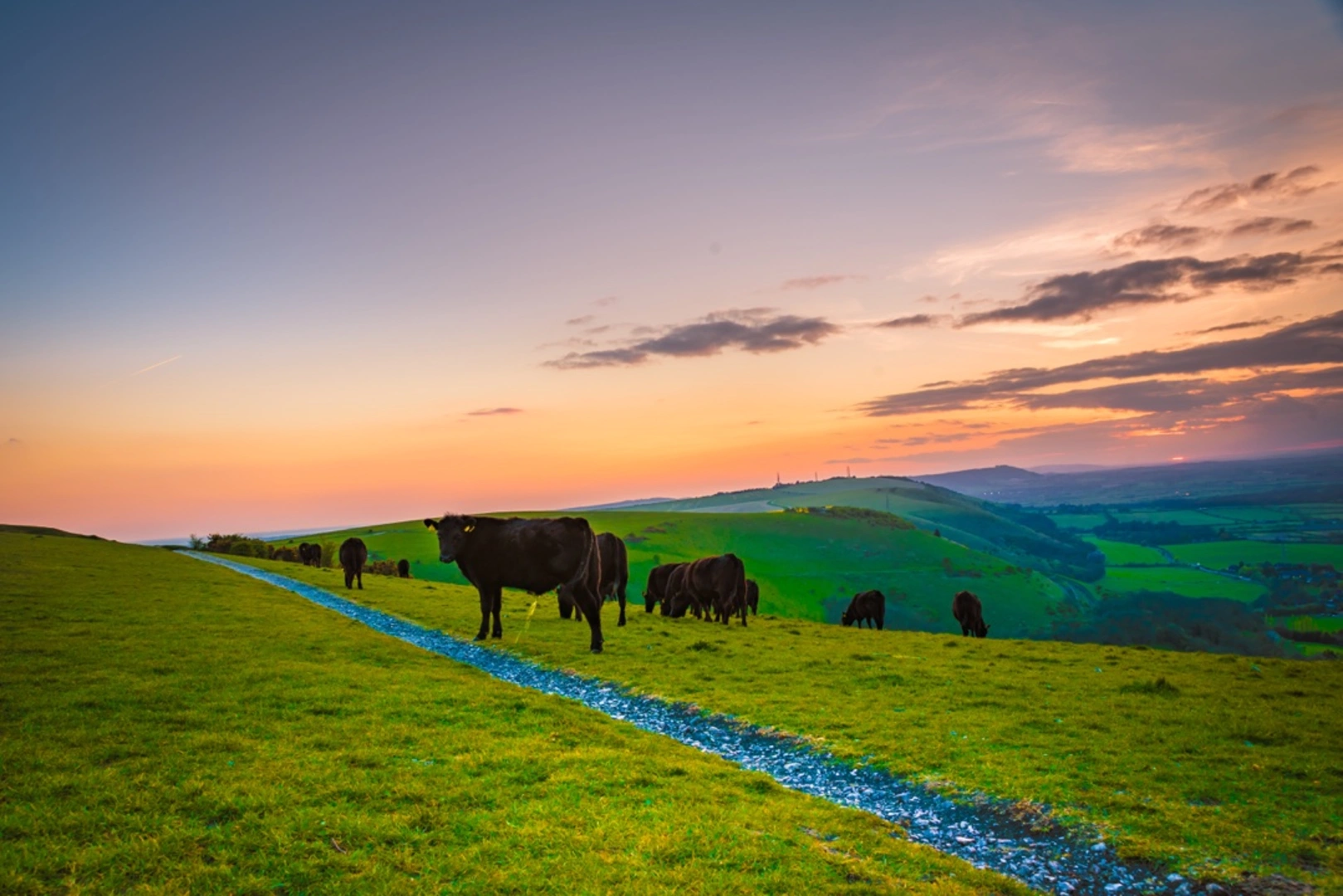 An image depicting the trail South Downs Way - Washington to Eastbourne and its surrounding area.