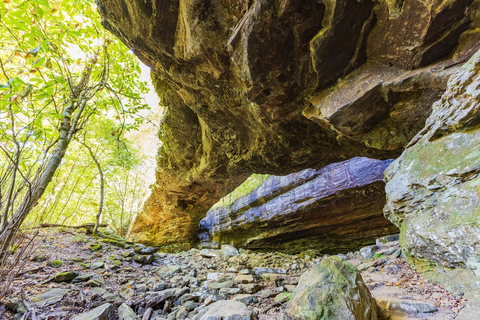 Alum Cove Loop Trail