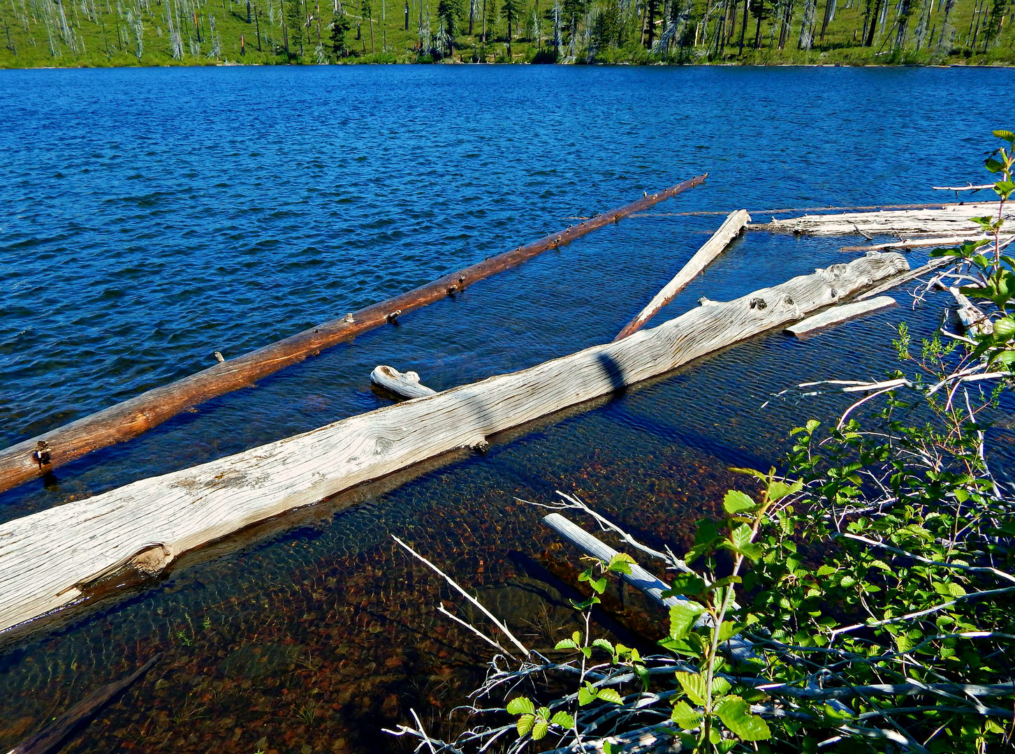 An image depicting the trail Round Lake Trail and its surrounding area.