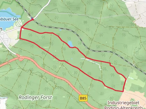 Rodinger Forst Loop
