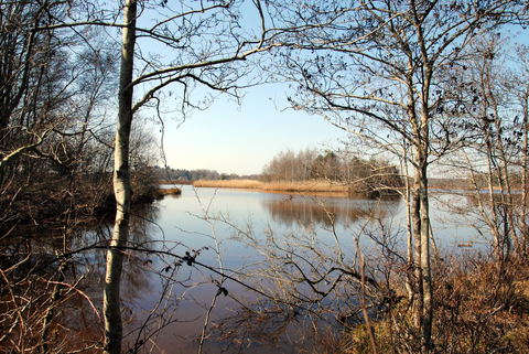 Balkbrug to Braambergerweg via Nolderhoeve and Bijenberg