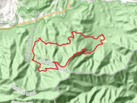 Gabes Mountain Trail, Maddron Bald Trail and Snake Den Mountain Loop