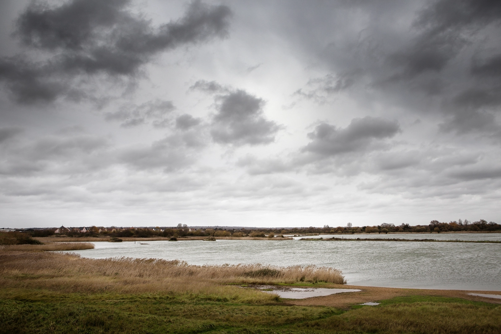 An image depicting the trail Chelmer and Blackwater Navigation and its surrounding area.