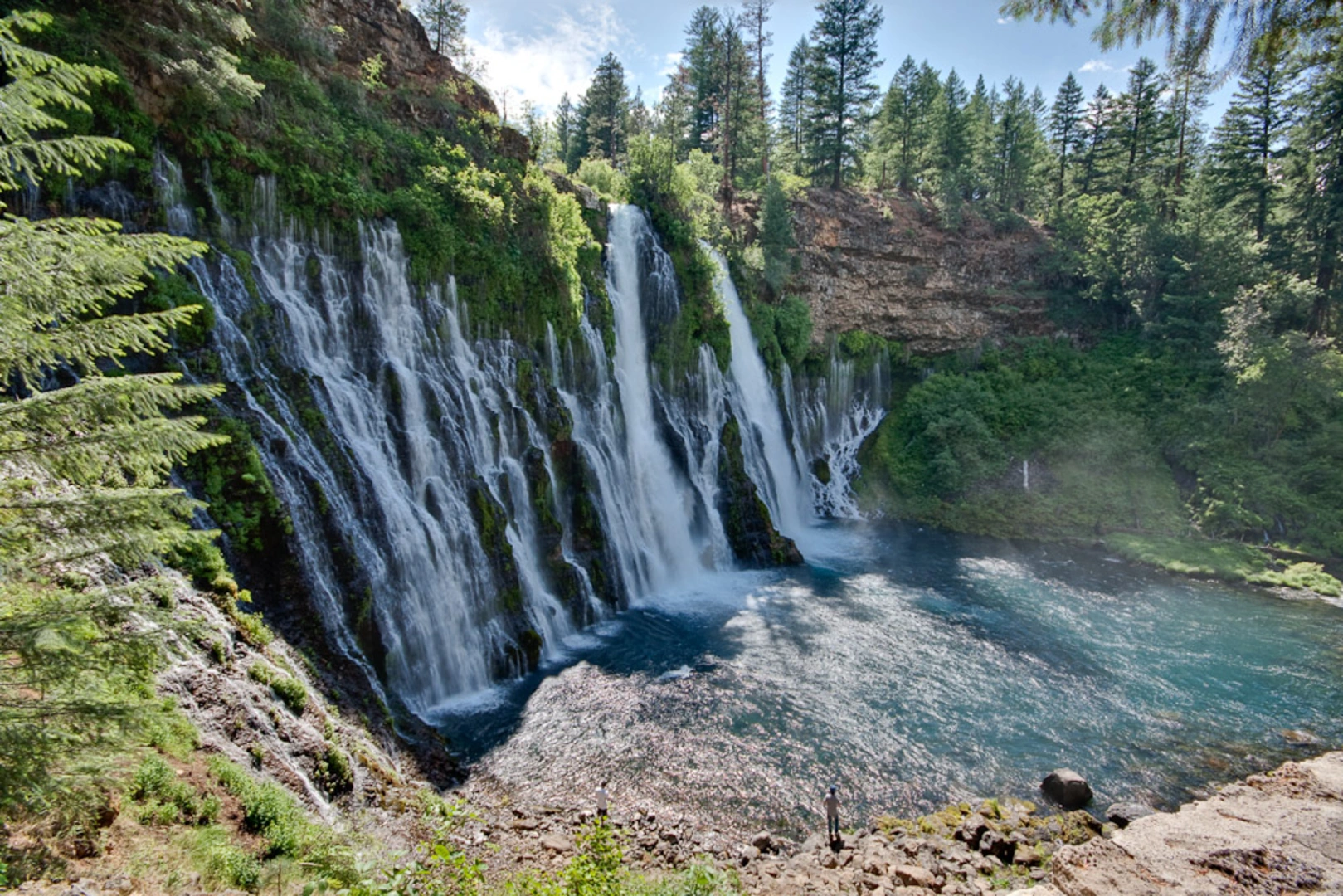 An image depicting the trail Burney Creek via Falls Loop Trail and its surrounding area.