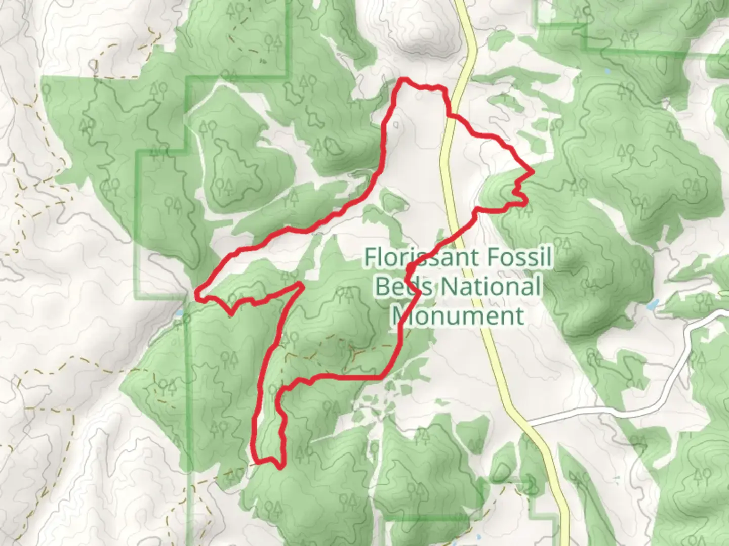 An image depicting the trail Hornbek Wildlie Loop Walk and its surrounding area.