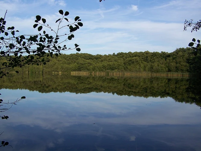 Großes Heiliges Meer and Heiliges Meer Loop via Tecklenburger Land Rundweg