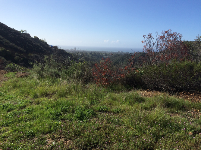 Eagle Rock and Temescal Peak via Santa Ynez TrailLoop