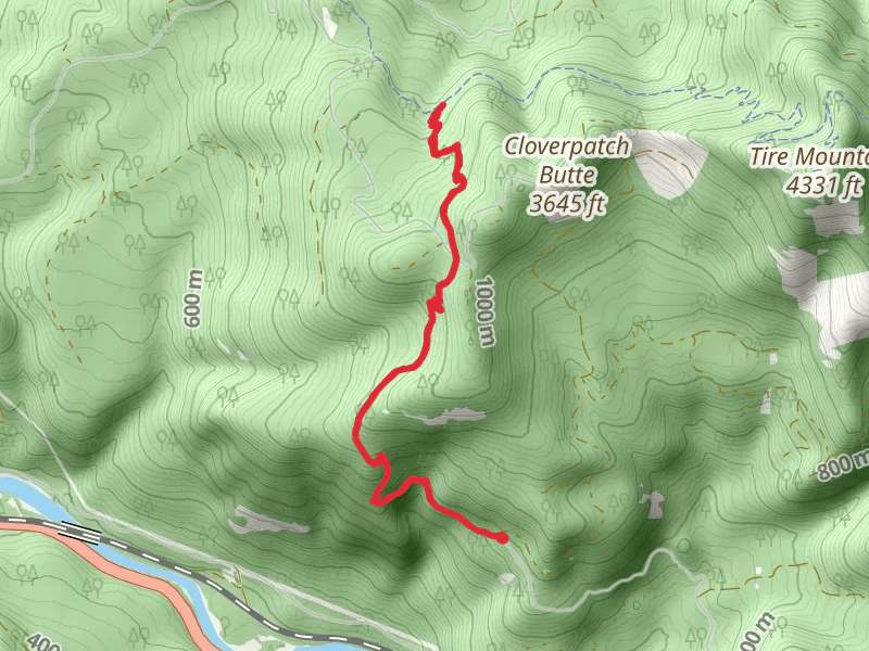 Cloverpatch Trail