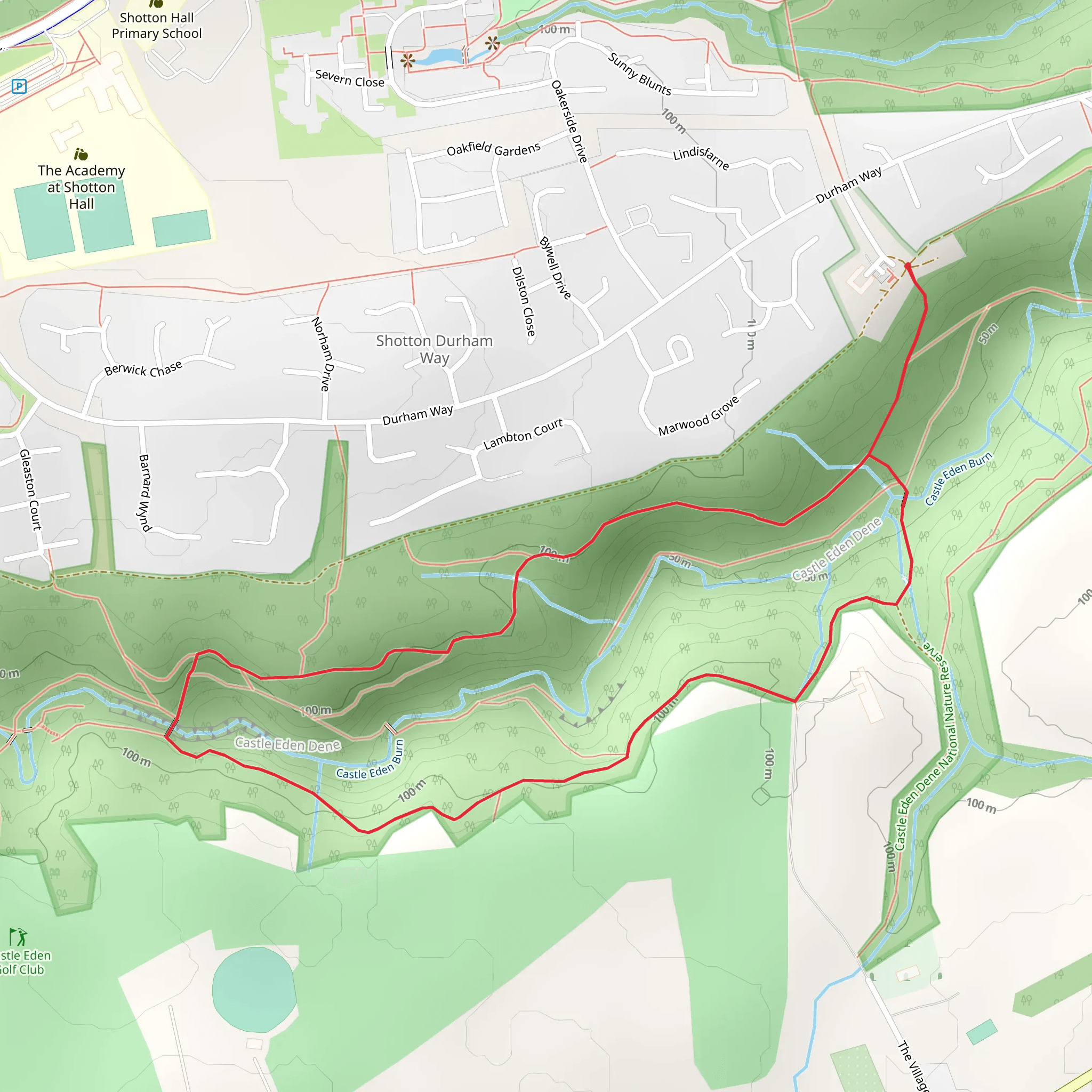 Squirrel Trail mobile static map