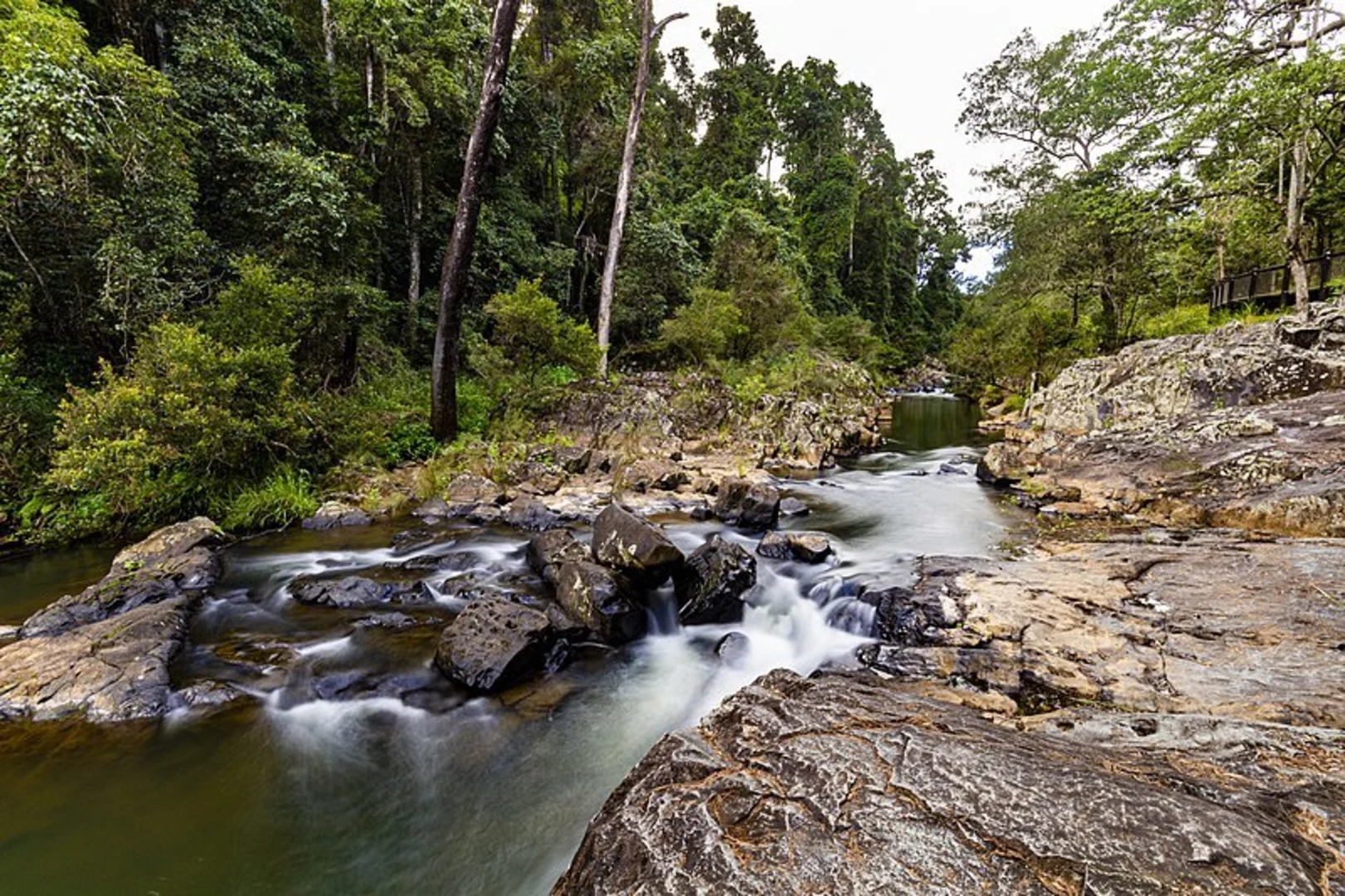 An image depicting the trail Crediton Creek Track and its surrounding area.