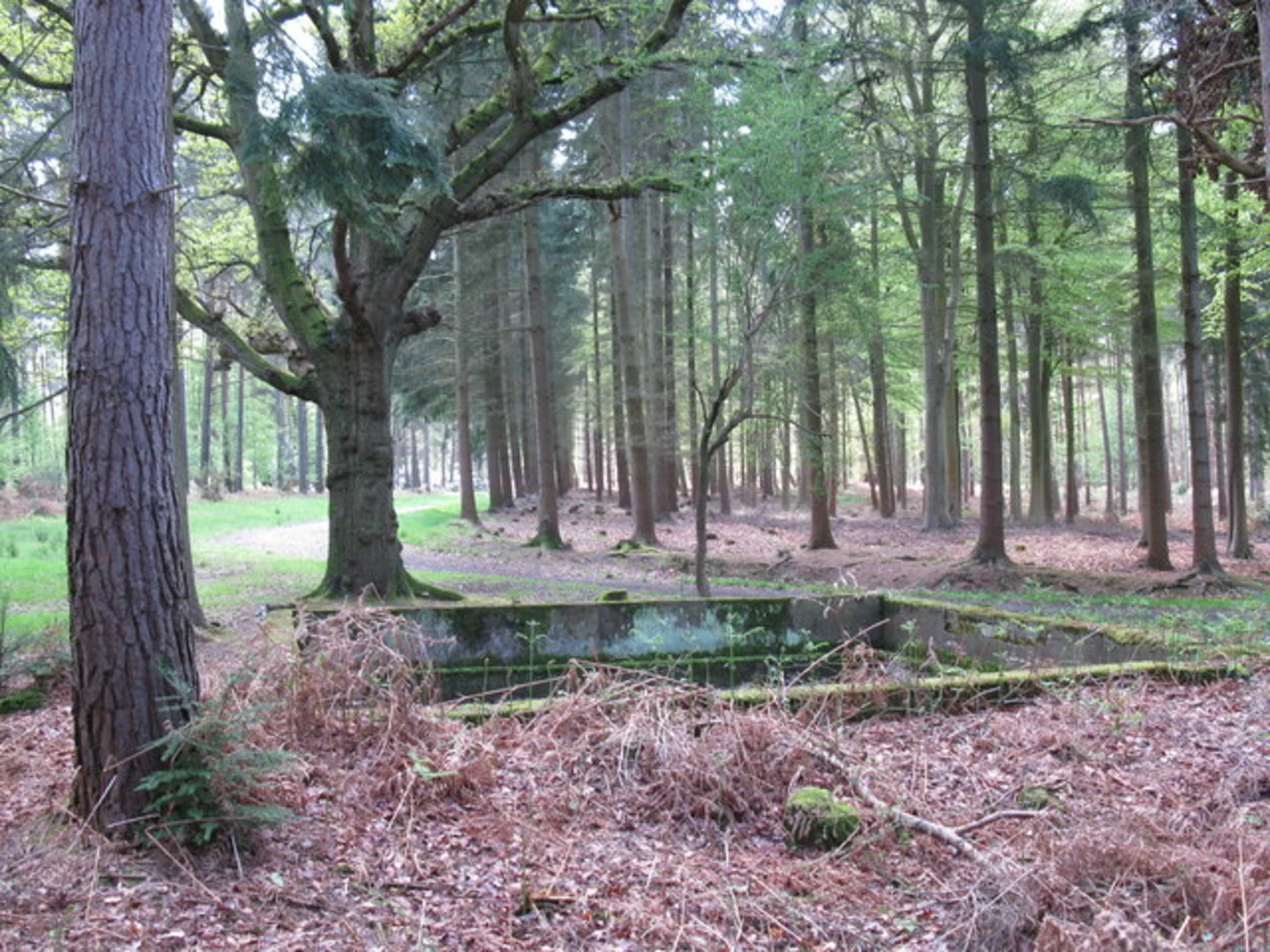 An image depicting the trail Three Castles Path from Windsor to Sandhurst and its surrounding area.