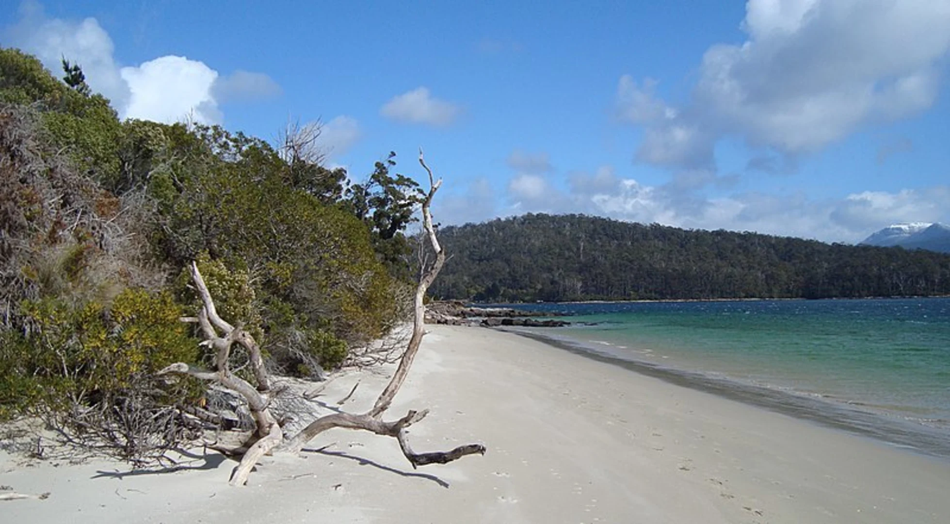 An image depicting the trail Recherche Bay - Fishers Point Walk and its surrounding area.